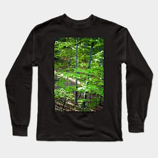 Young beech forest Long Sleeve T-Shirt